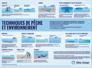 Techniques de pêche et environnement