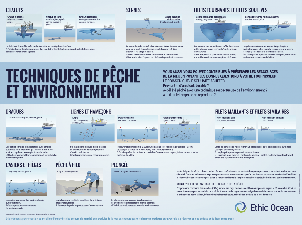 Pêche durable - Ethic Ocean