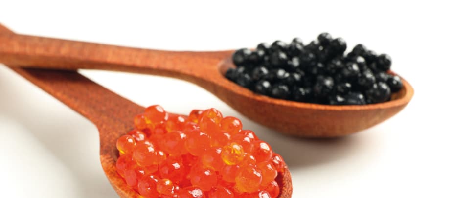 Guide des espèces : caviar oeufs esturgeon