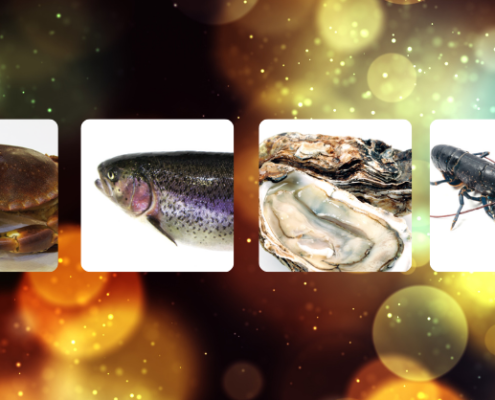 Consommation durable pour les fêtes de fin d'année : tourteau, saumon, huitre, homard