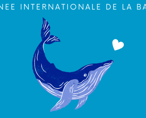 19 février : La journée internationale de la baleine